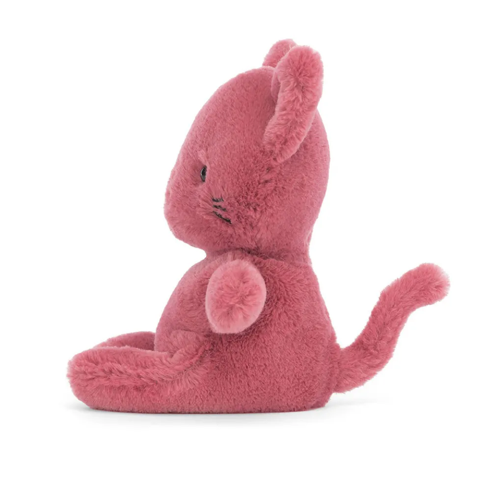 Sweetsicle Cat